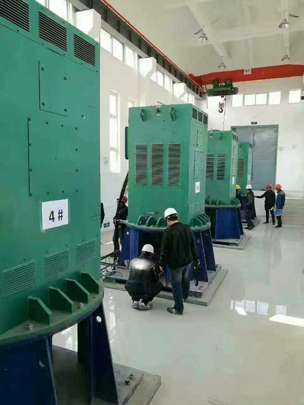 宜宾某污水处理厂使用我厂的立式高压电机安装现场